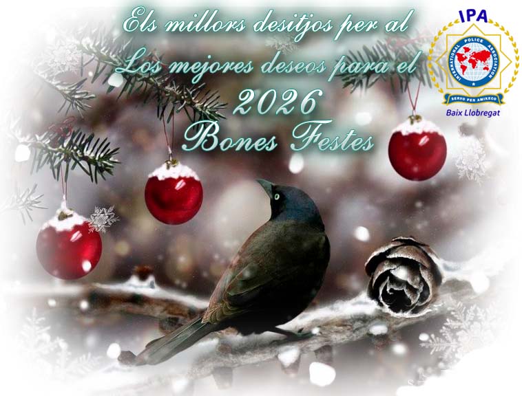 Bon Nadal i Bon Any 2026